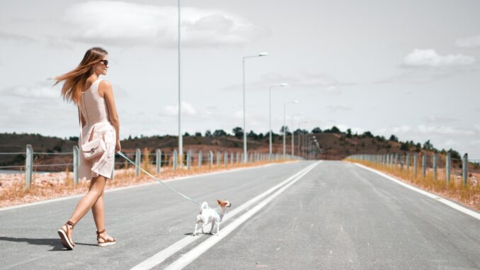 Femme marche à pied avec chien